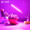10W Led Grow Light USB