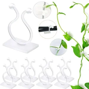 plant climbing self adhesive wall