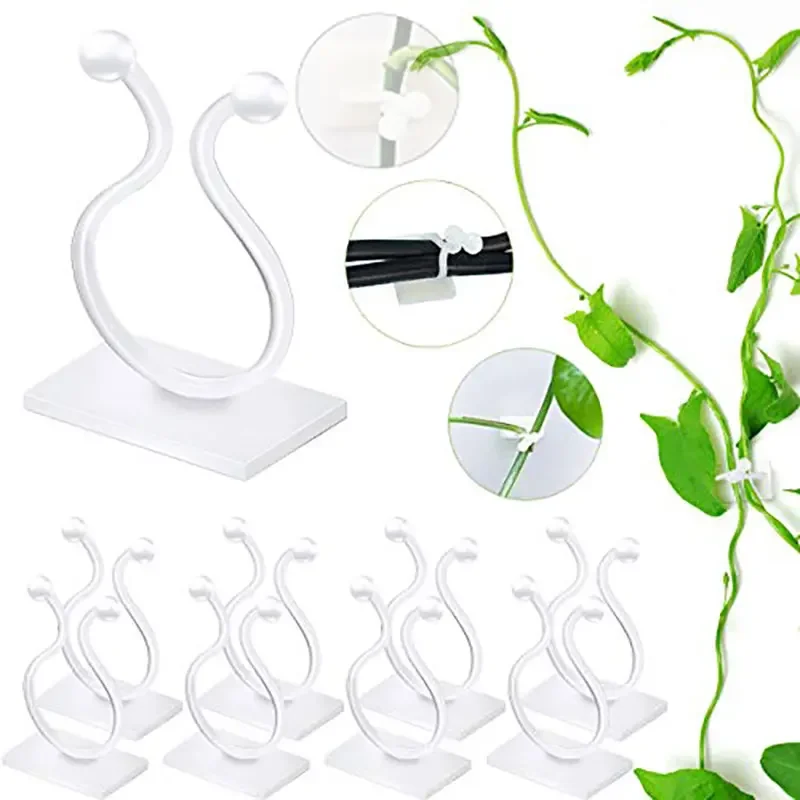 plant climbing self adhesive wall plant climbing self adhesive wall