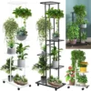Plant Shelves