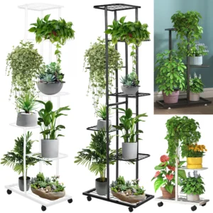 plant shelves