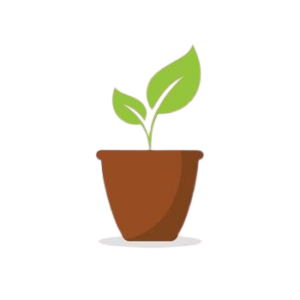 pot with plant icon plant icon illustration vector